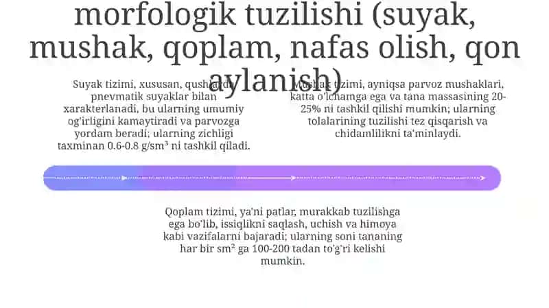 Kichik uy hayvonlarining morfologiyasi 4