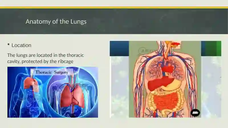 LUNGS AND PULMONARY SYSTEM 4