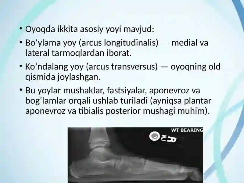 Oyoq panjasi statik deformatsiyasi 4