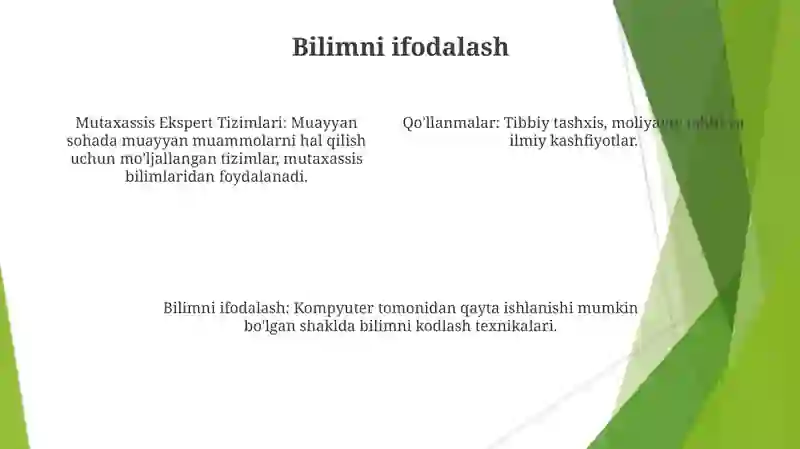 Maxsus ekspert tizimlari 4