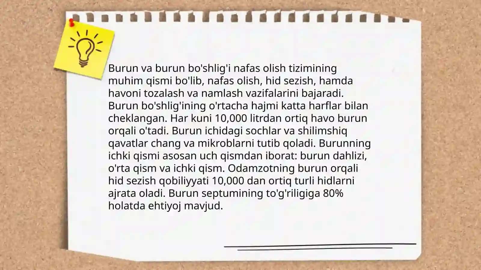 Nafas olish organlari 4