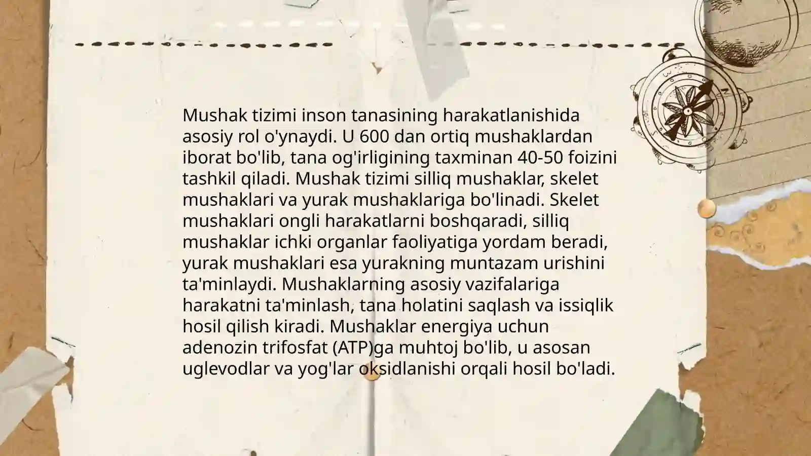 Skelet tizimi 4