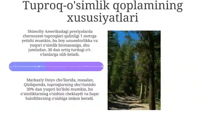 Materik Tabiat Zonalarining Iqlimiy Xususiyatlari 4
