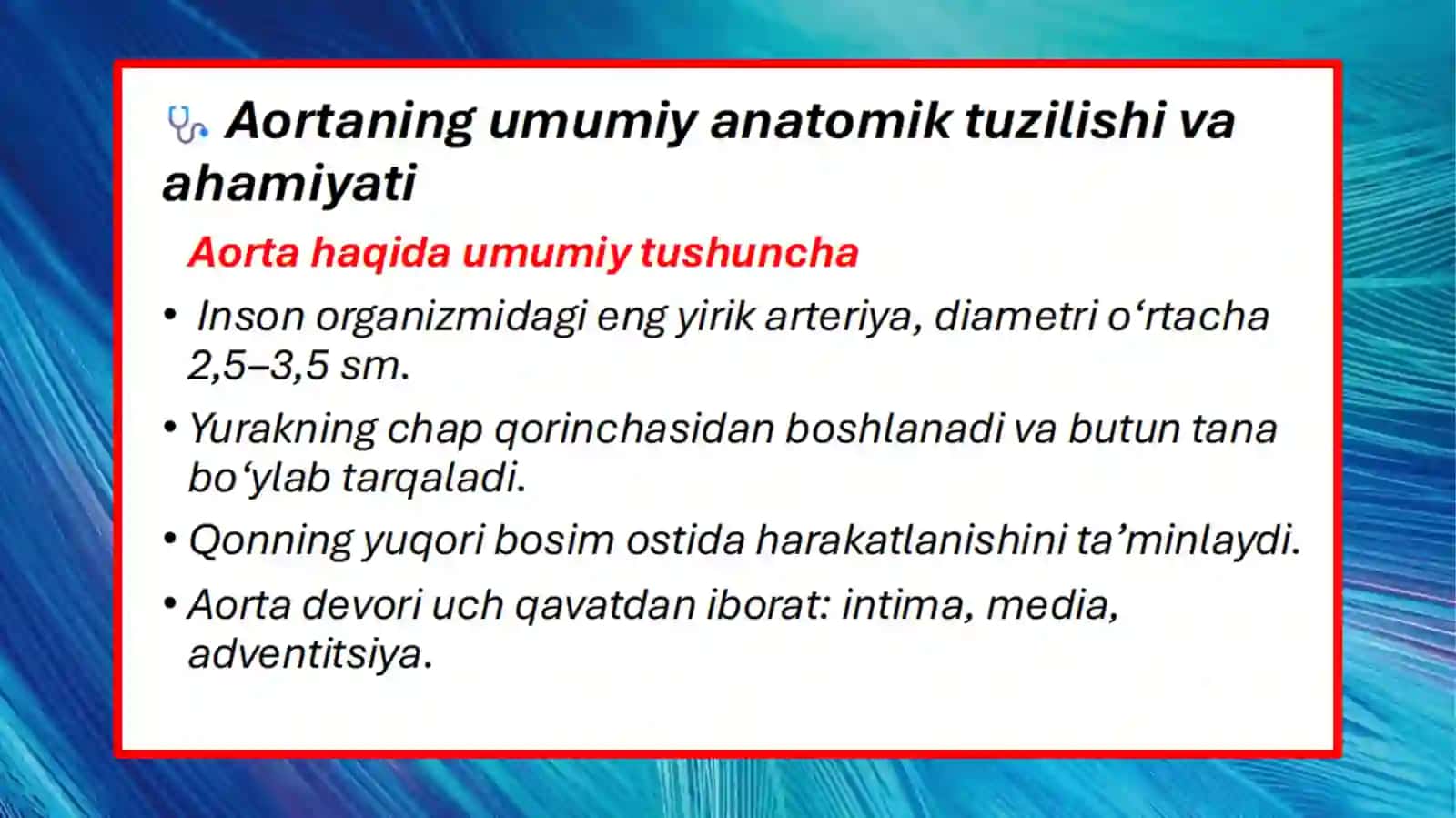 Ko'krak va qorin aortasi 4