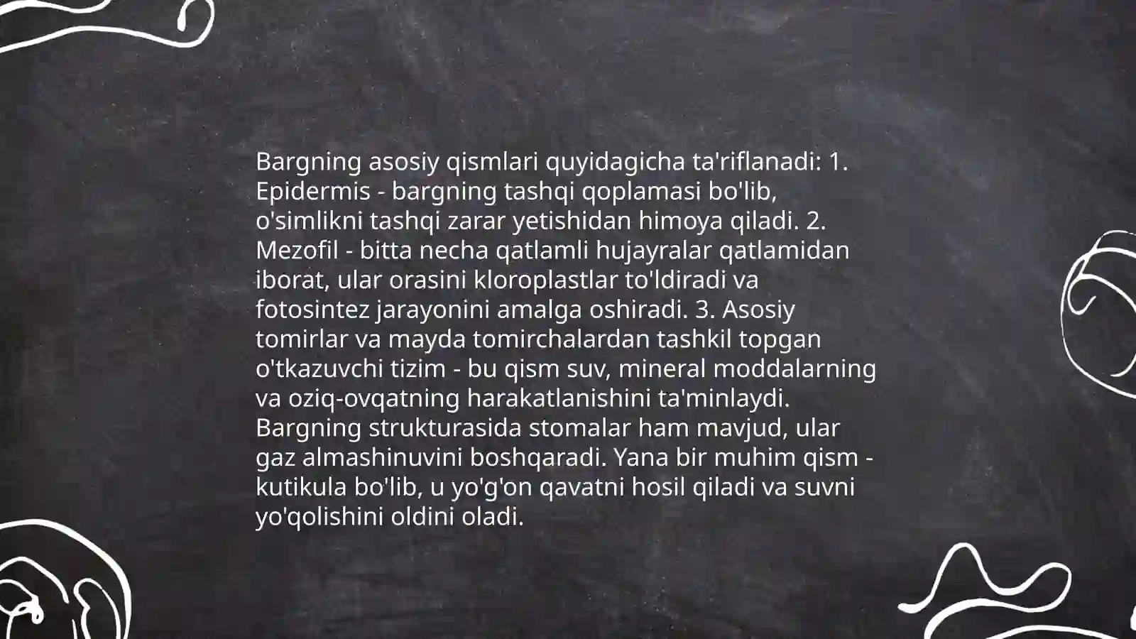 Barg va uning vazifalari 4