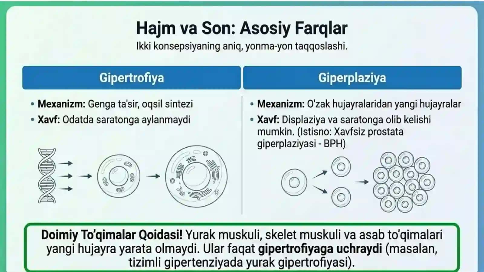 O'sish moslashuvlari, hujayra shikastlanishi va o'limi 4