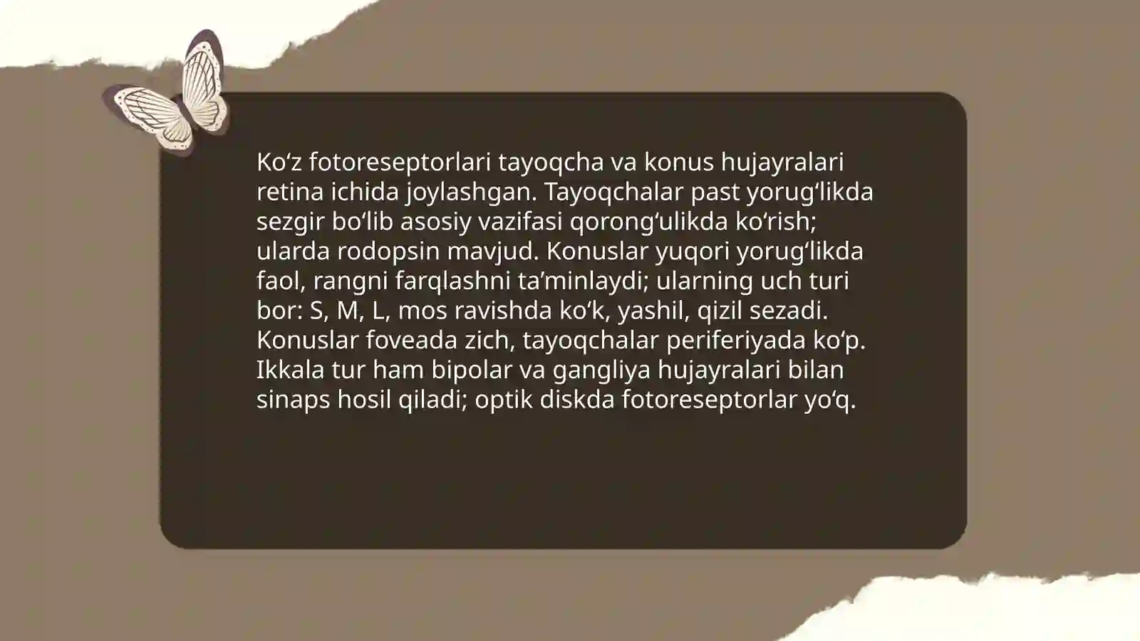 Sezgi a’zolari 4