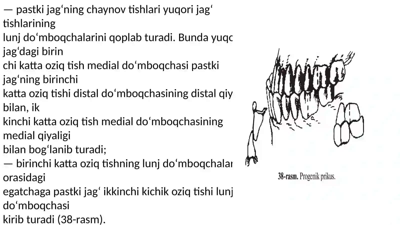 Ortopedik Stomatologiya Tish prikuslari. 4