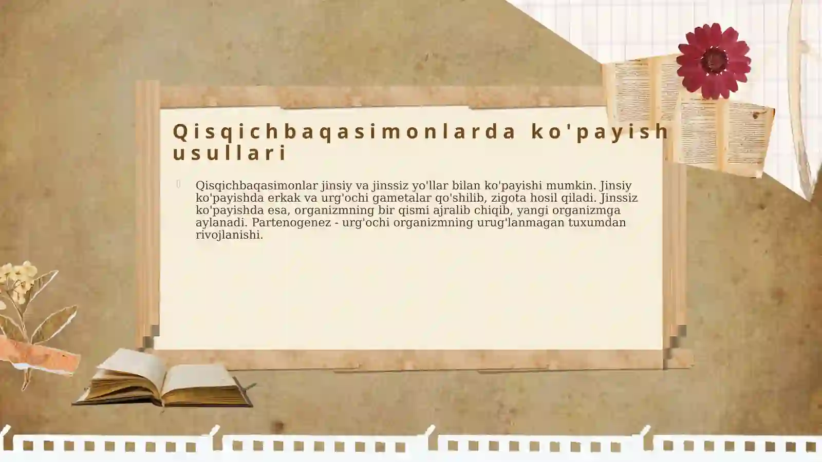 Qisqichbaqasimonlar ko'payishi va rivojlanishi 4