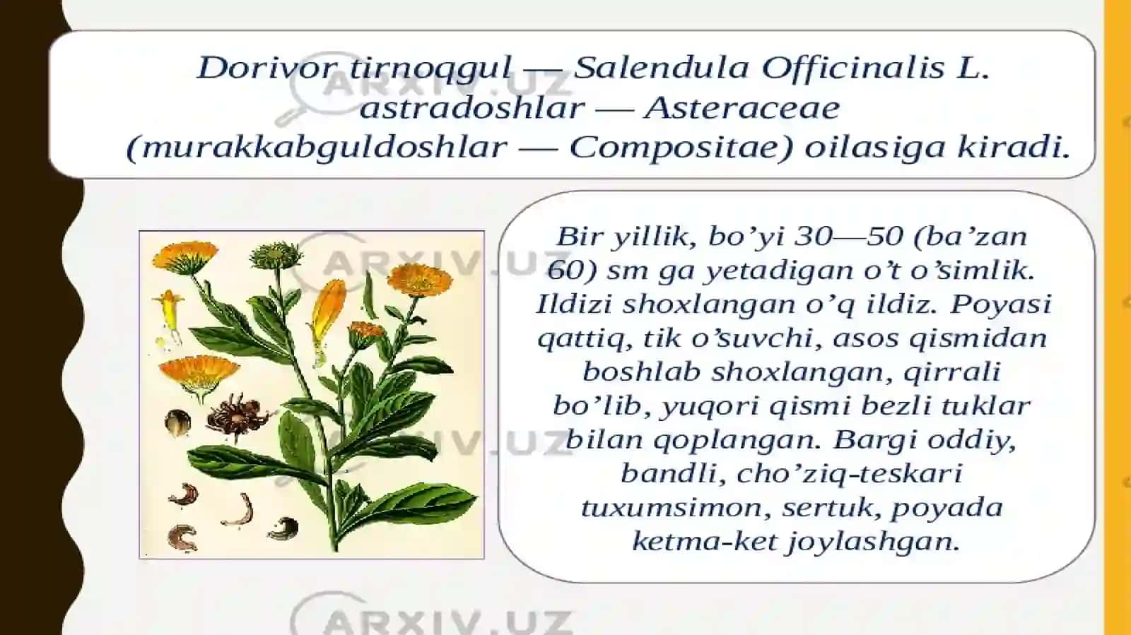 O’sarovJahongir 4