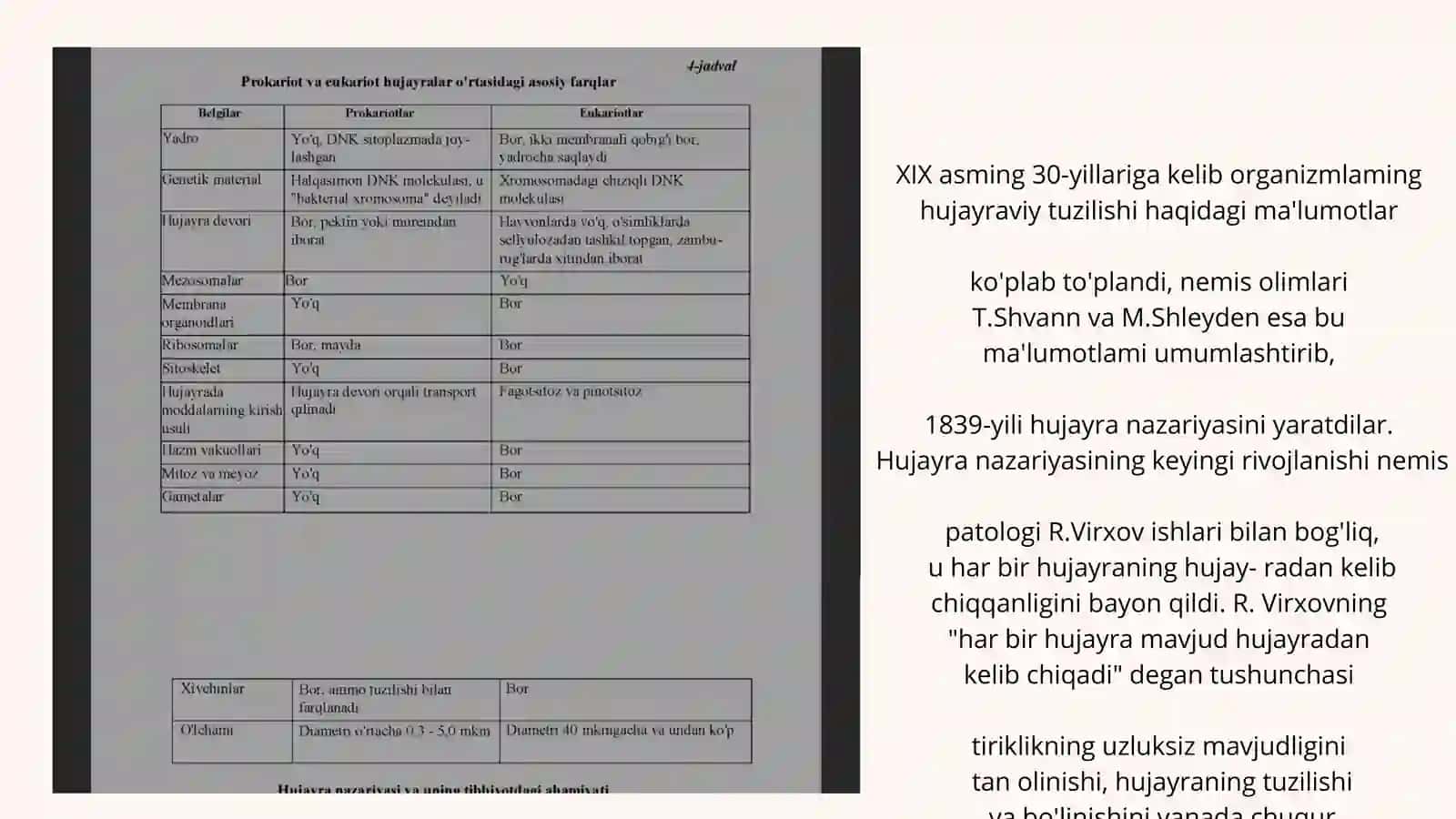 Hujayra tuzulishi. Hujayra nazariyasi. Xayvon va odam xromosomalarining morfofunksional xarakteristi 4