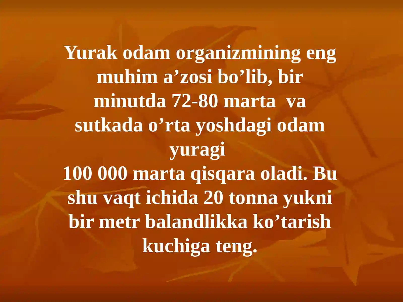 YURAK ANATOMIYASI 4