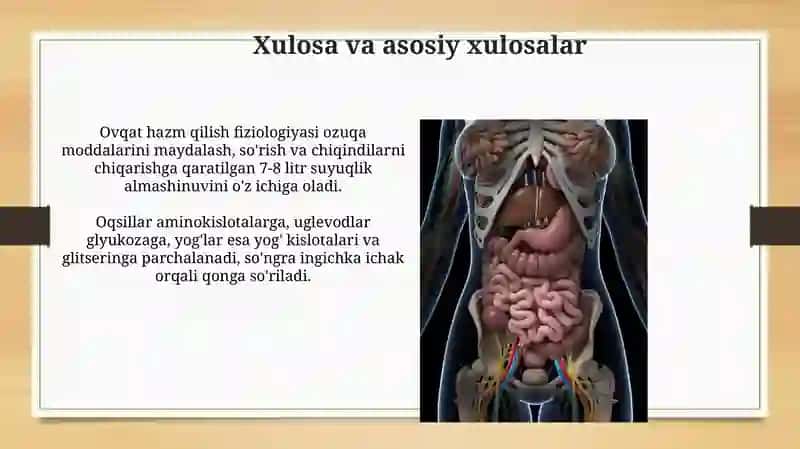 Hazm qilish fizologiyasi 4