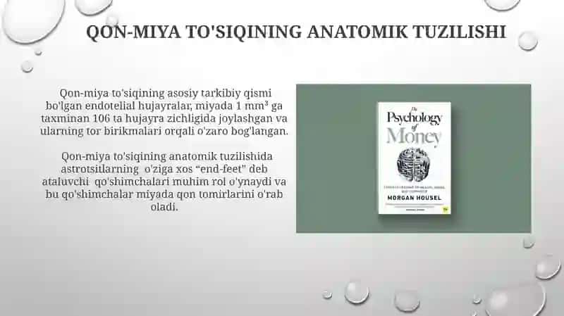 Gematoensefalik toʻsiq gistofizialogiyasi 4