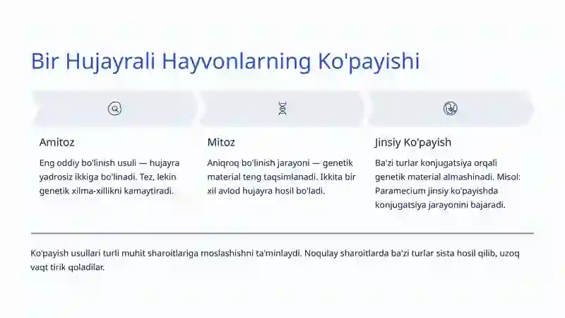Bir Hujayrali Hayvonlar: Hayotning Mikroskopik Moʻjizalari 4