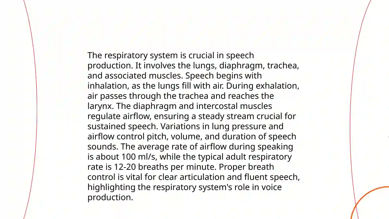 Speech Organs and Their Functions 4