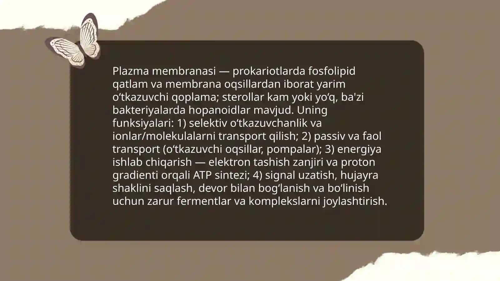 Prokariot hujayralarning tuzilishi 4
