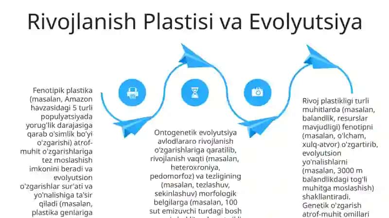 Ontogenez evolyutsiyasi 4