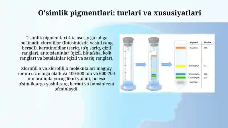 Oʻsimlik pigmentlarini kolon kalixromotografiya usulida aniqlash 4