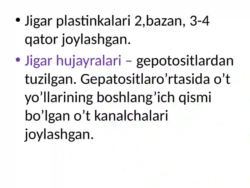 Jigar gistalogiyasi 4