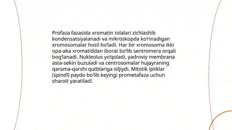 Mitoz 4