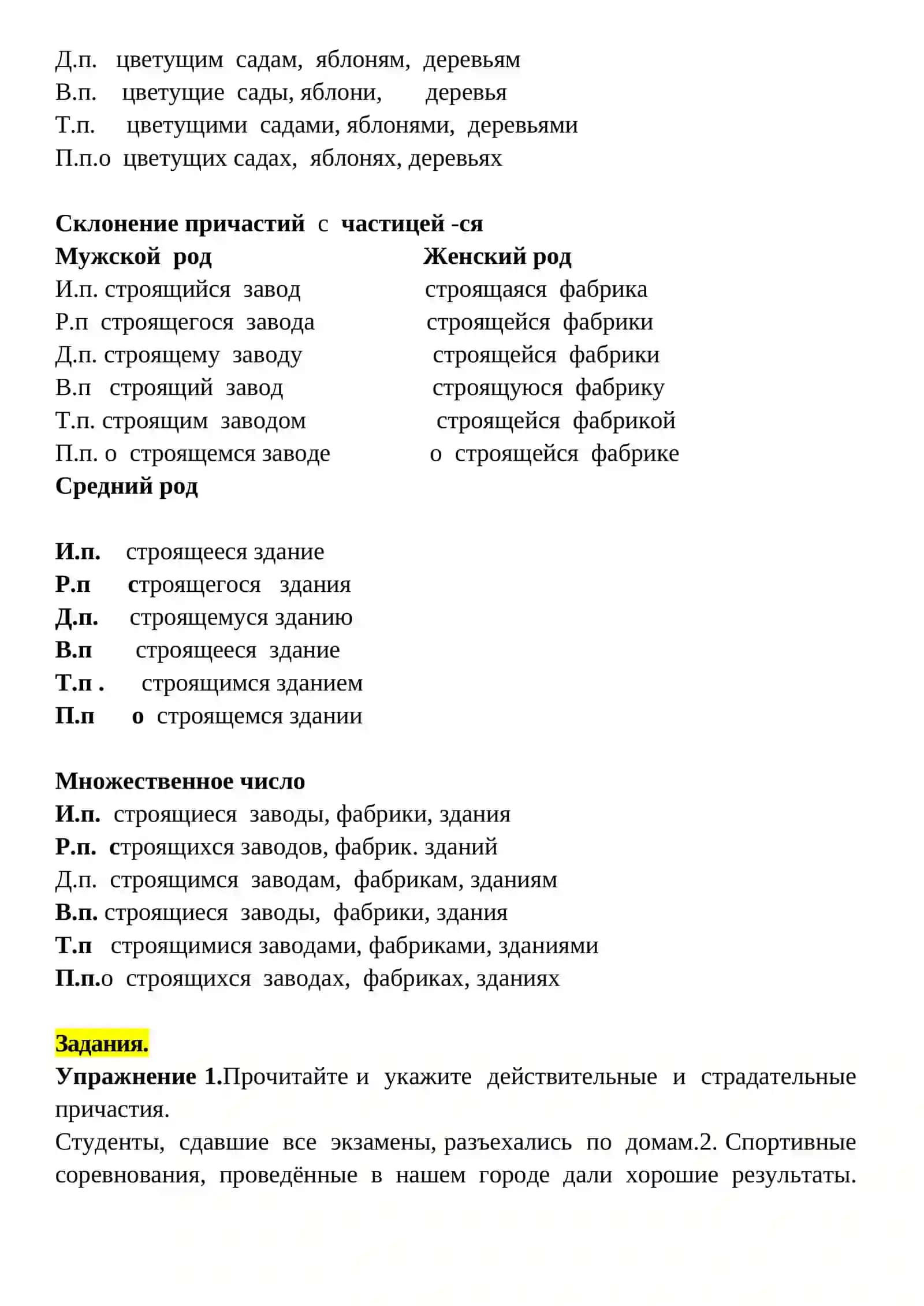 Действительные и страдательные причастия 4
