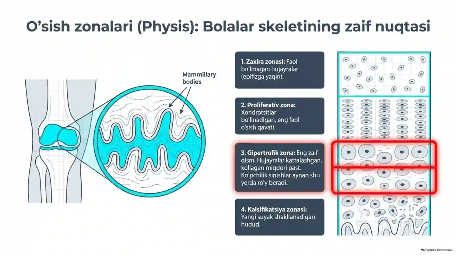 BOLALARDA SUYAK SHIKASTLARINING O‘ZIGA XOS XUSUSIYATLARI | 15 SLAYDLI TIBBIY TAQDIMOT 4