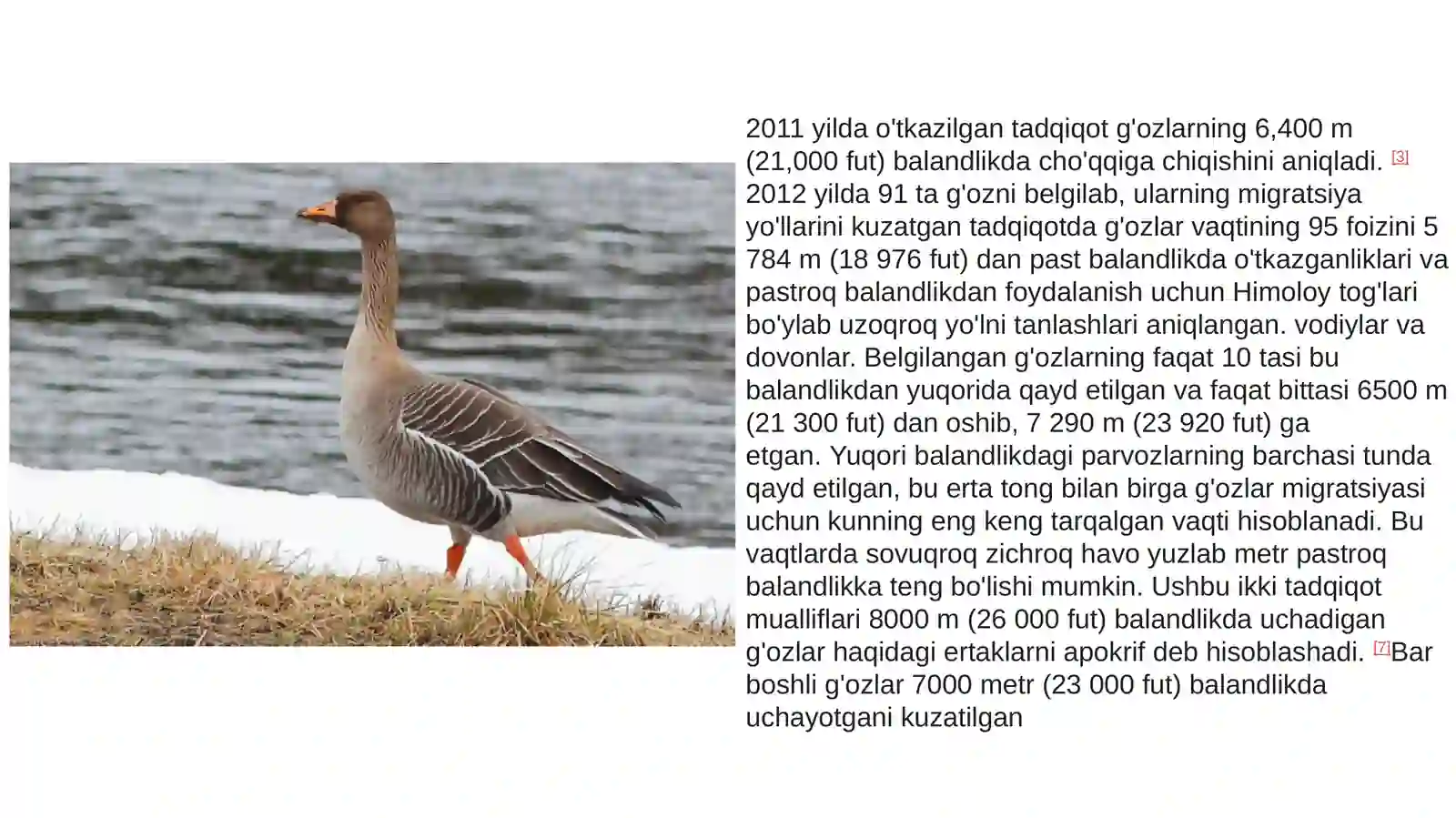 Kulrangg'oz jinsi 4