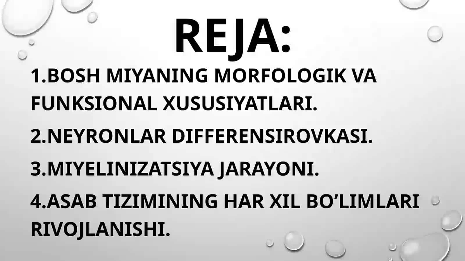 Ashurova Dinoraning Bolalar Kasalliklari Propedevtikasi Taqdimoti 4