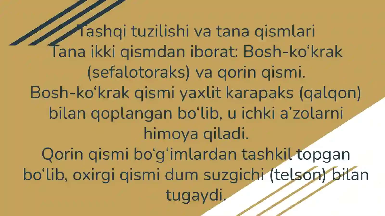 Qisqichbaqasimonlar sinifi tavsifi, asosiy vakillari axamiyati 4