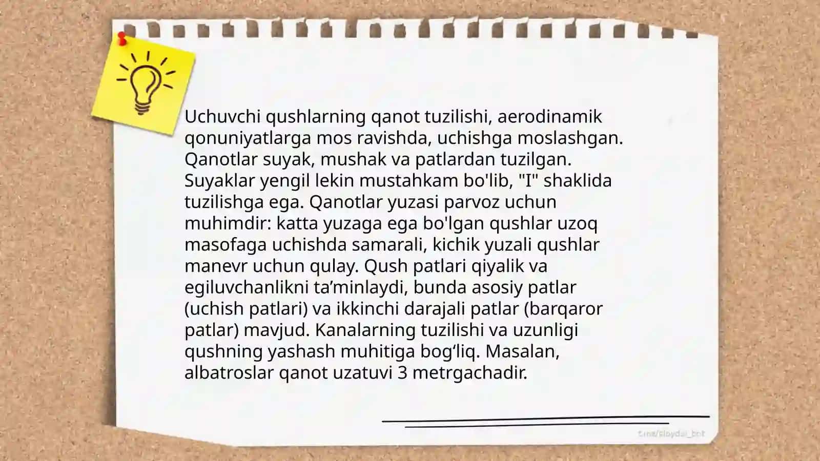 Suzuvchi, uchuvchi, yuruvchi qushlarning yashash sharoitiga bog‘liq tuzilishidagi o‘zgarachaliklar 4