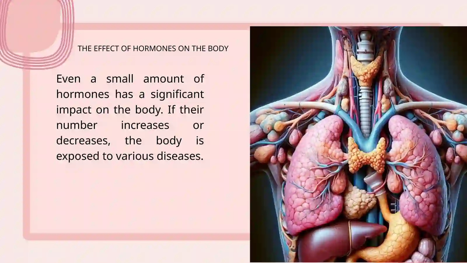 ENDOCRINE SYSTEM 4