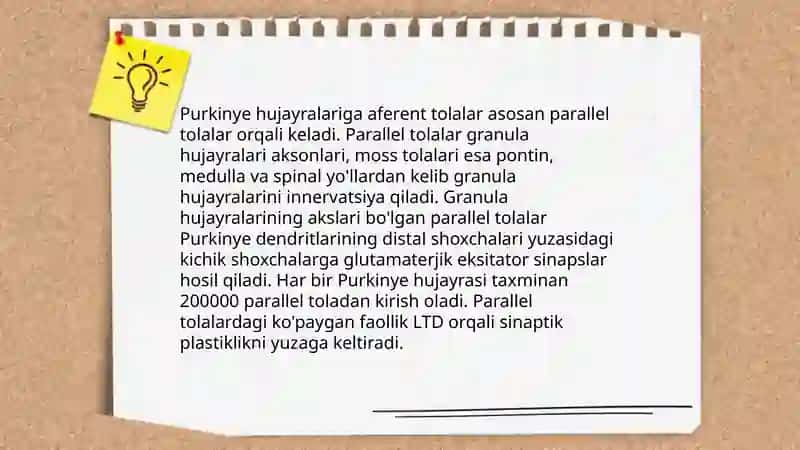 Miyachada neyronlararo aloqalar.Miyacha Purkinye hujayralarining tashqi taʼsirlarga va gipoksiyaga reaksiyalari 4