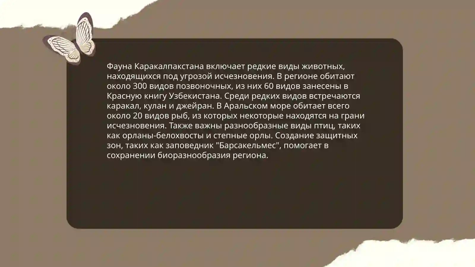 Редкие растения и животные Каракалпакстана, муждународная красная книга и Узбексистана 4