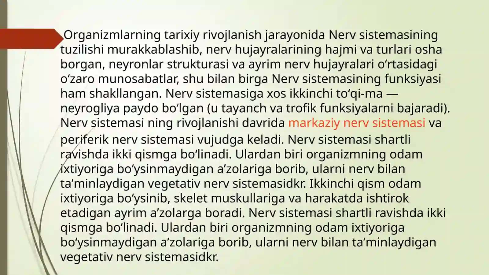 Nerv sistemasi 4