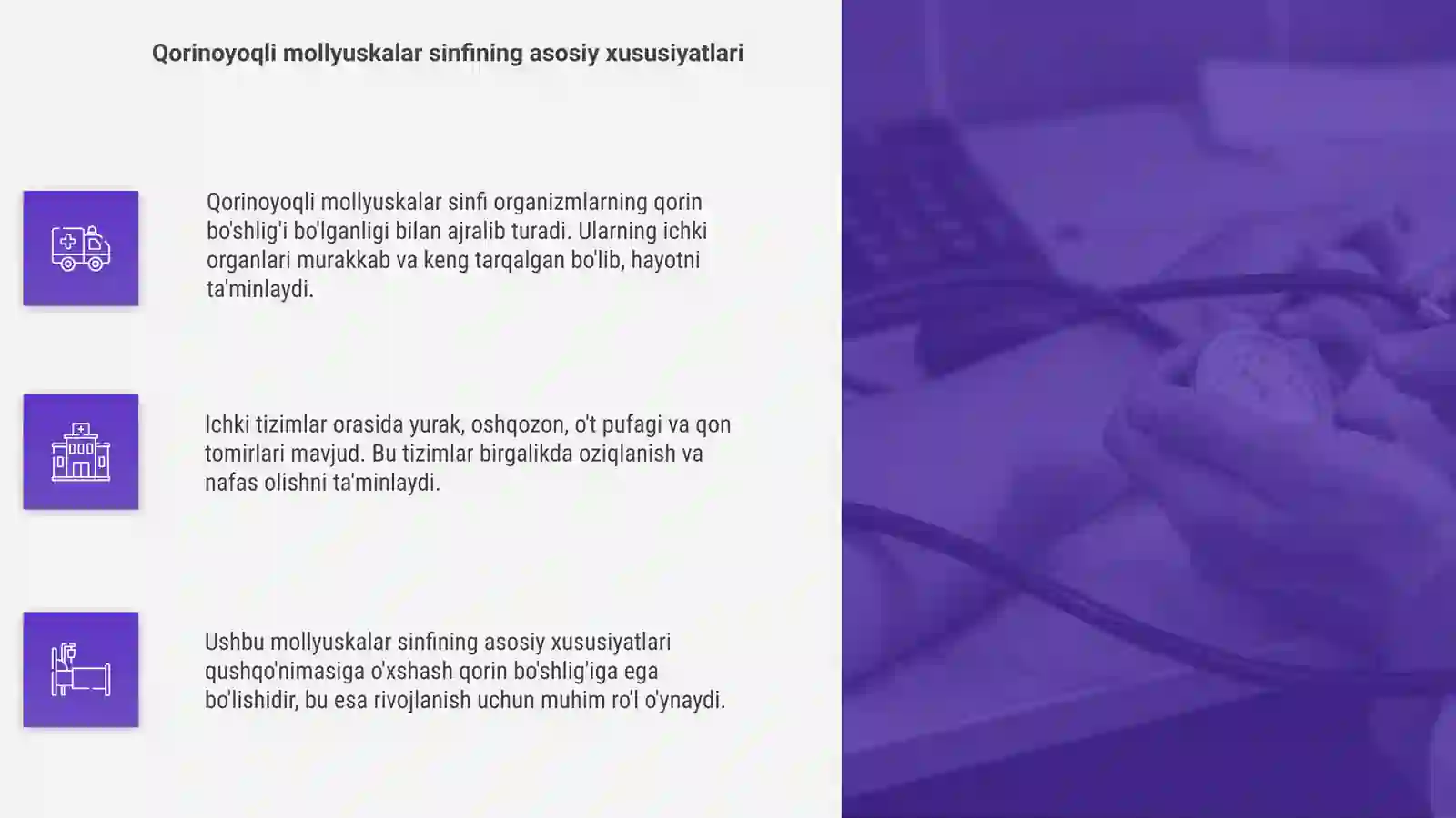Qorinoyoqli mollyuskalar sinfi 4