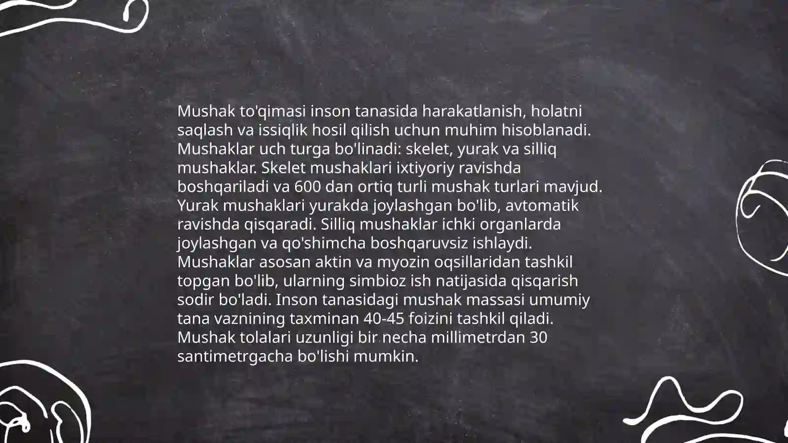 Muskullar anatomiyasi 4