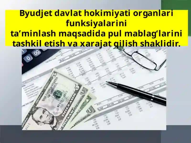11-sinf Davlat va huquq asoslari fani darsligi 4