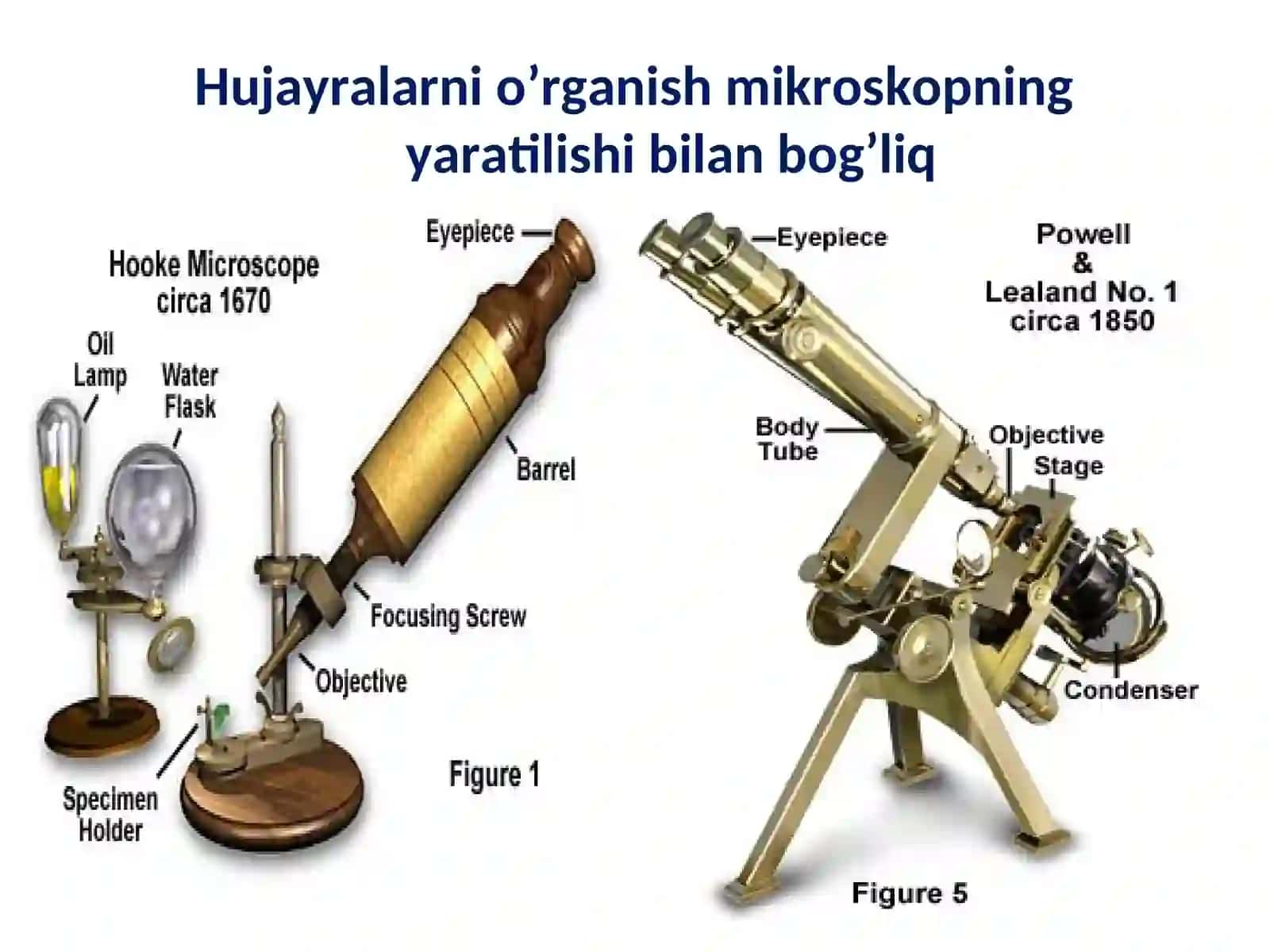 Hayotning xujayraviy asoslari 4