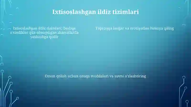 Cho‘L O‘Simliklari 4