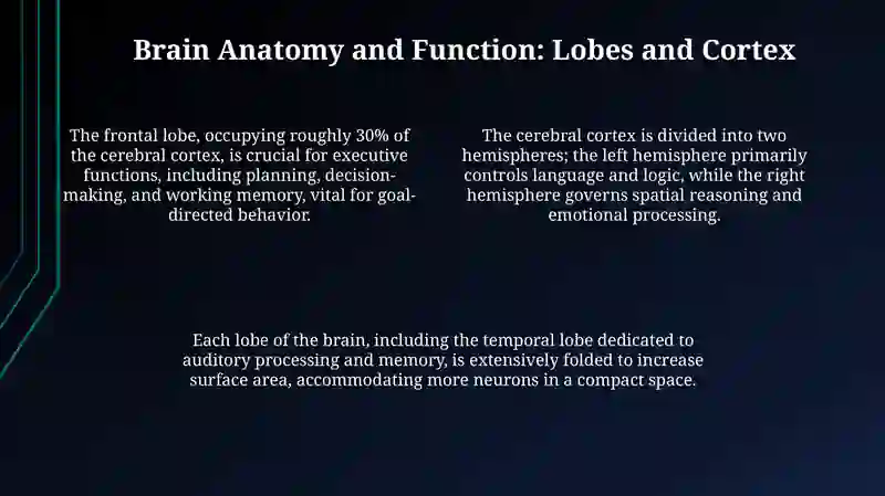 BRAIN AND NERVOUS SYSTEM 4