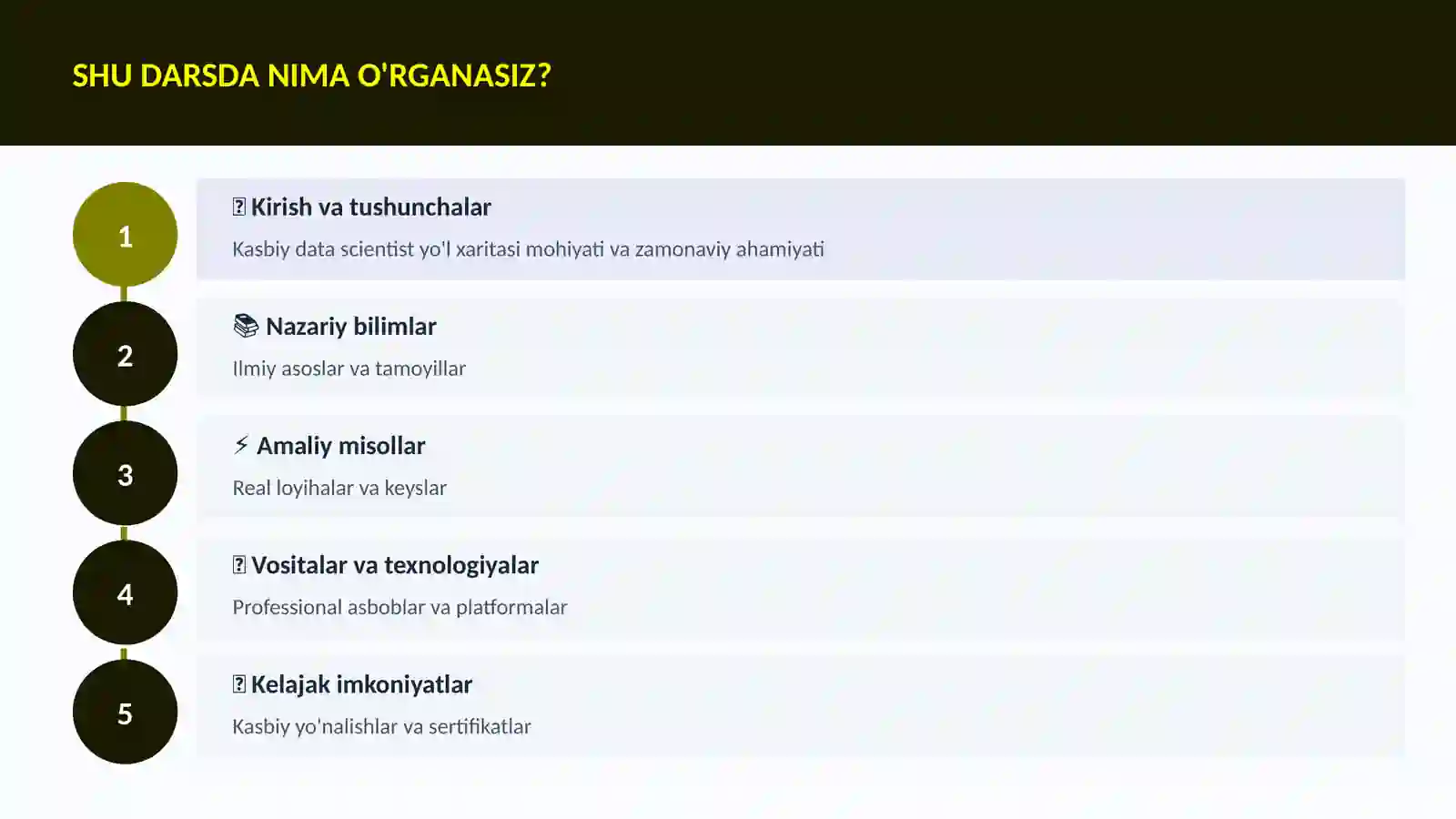 Kasbiy data scientist yo'l xaritasi 4
