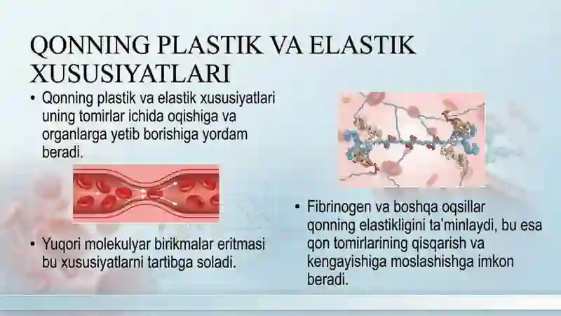 Yuqori molekulyar birikmalar eritmalarining hossalari. Qonning reologik xossalari 4