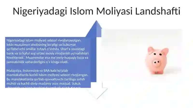 Fors ko'rfazi mamlakatlarida Takafulning rivojlanishi 4