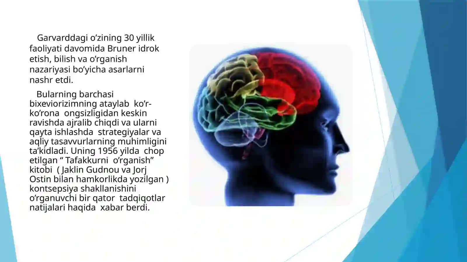 Jerom Bruner 4