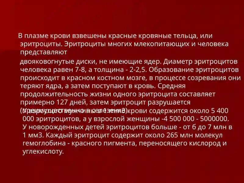Кровеносная система 4