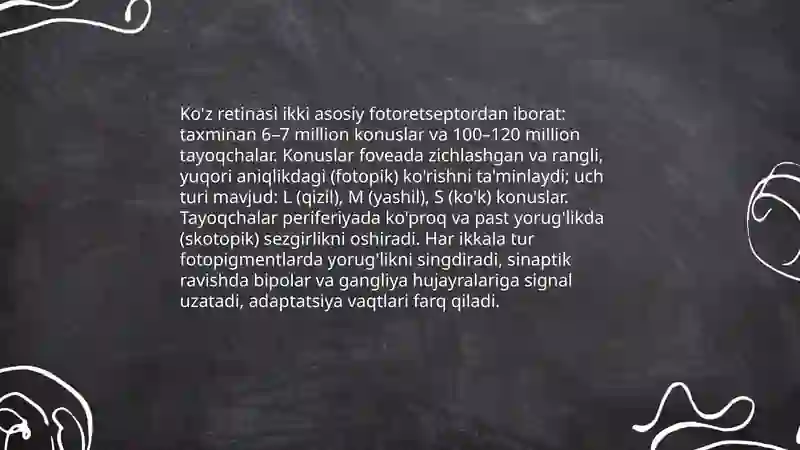 Sezgi azolari 4