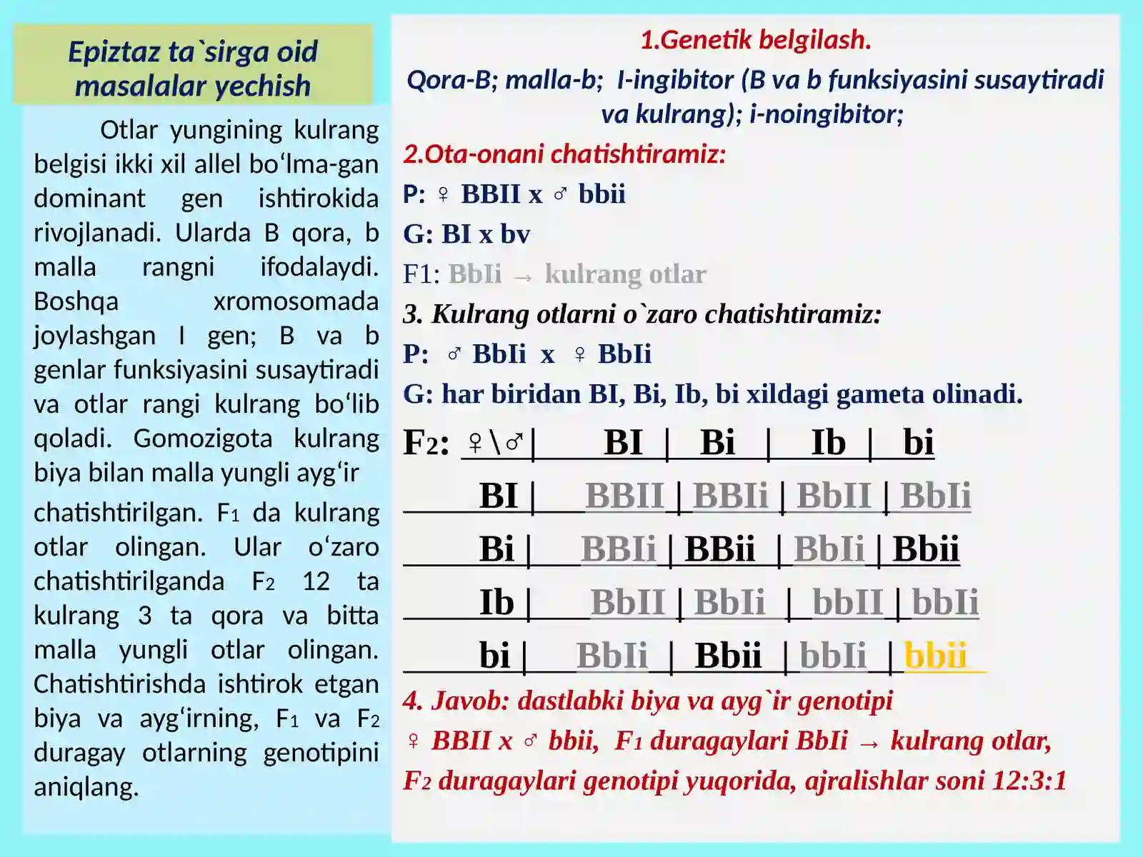 Epistaz 4
