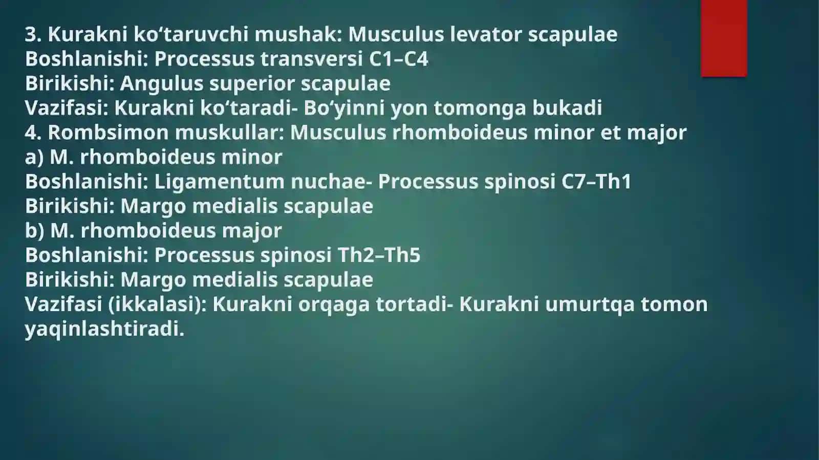 Anatomiya1-savol:Umurtqaningumumiytuzilishiniayting 4