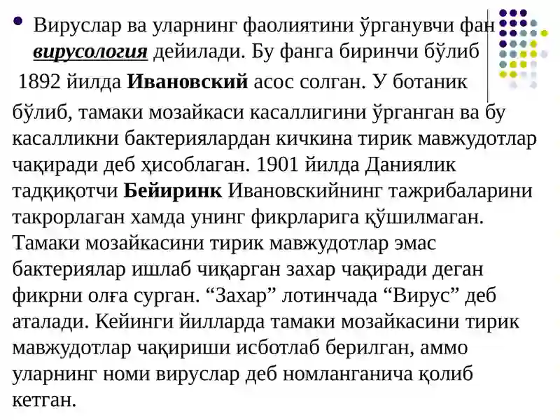 Preview 4